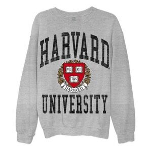 Oversized Harvard Sweatshirt Gray-XL